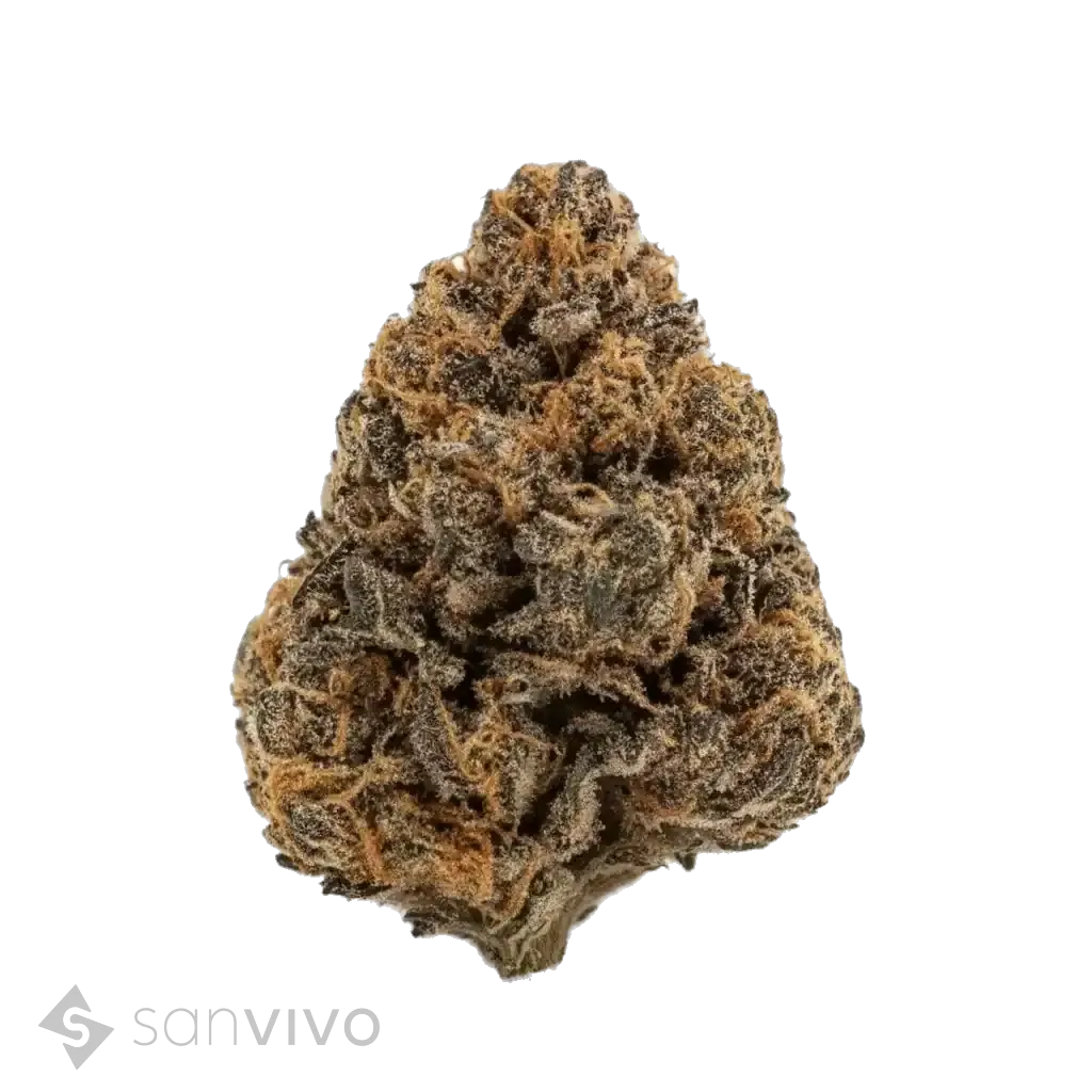Forbidden Zkittlez strain