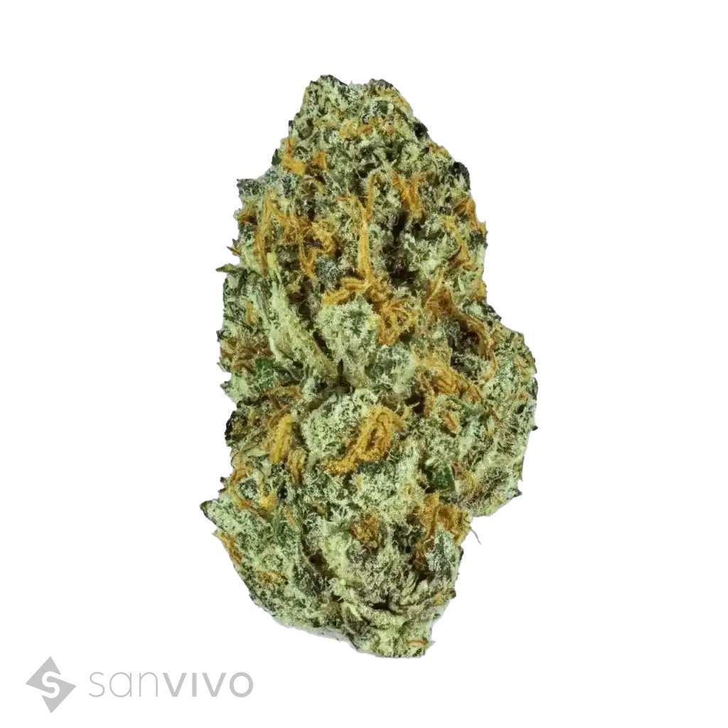 Mediprocan African Ruby 30/1Black Cherry Punch