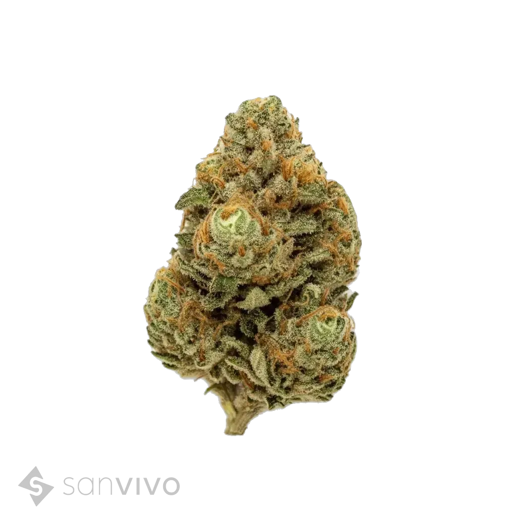Mimosa Cookies strain
