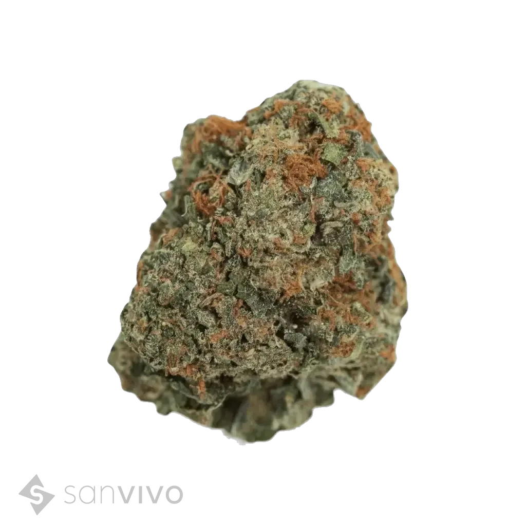 Black Gas strain