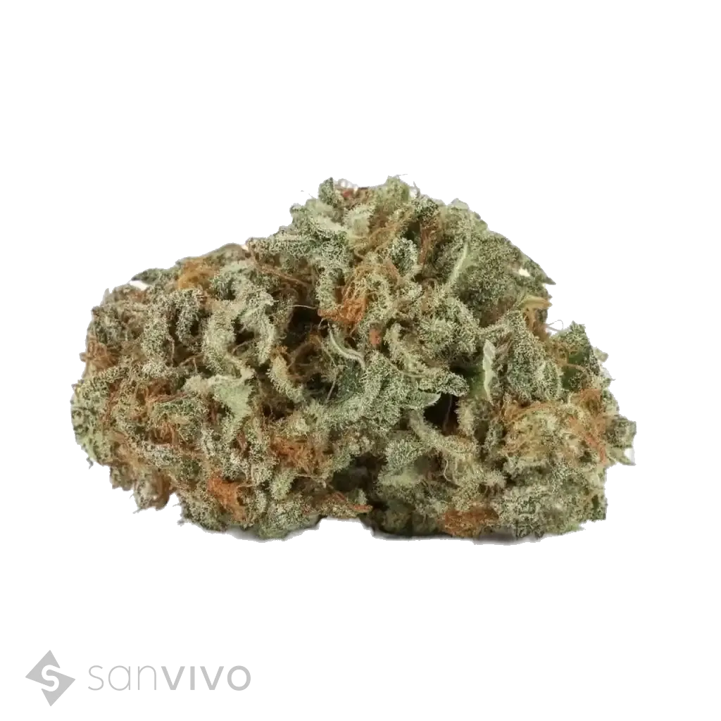 Lit 29/1 MKUMaster Kush