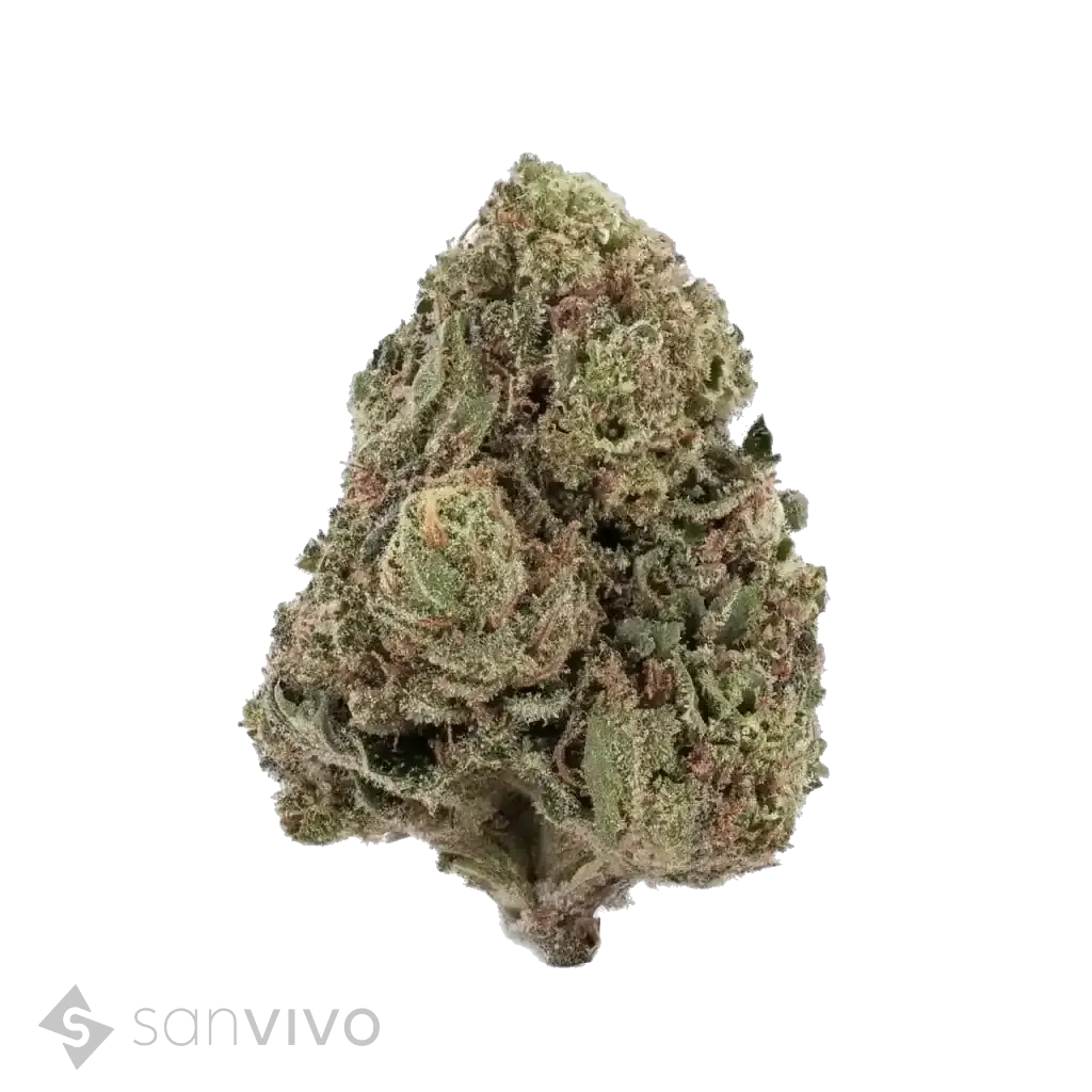 Tangie Pave strain