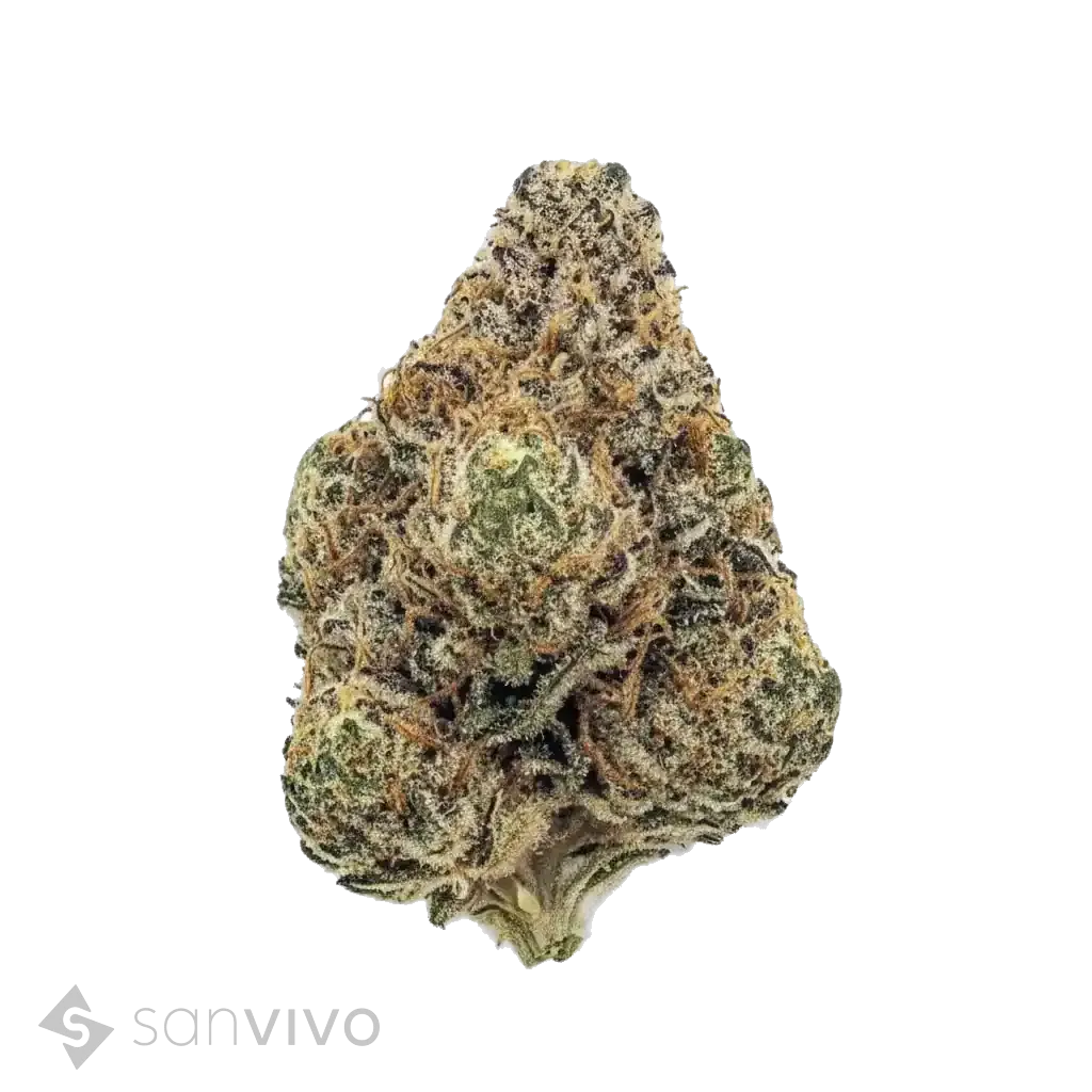 Mungo strain