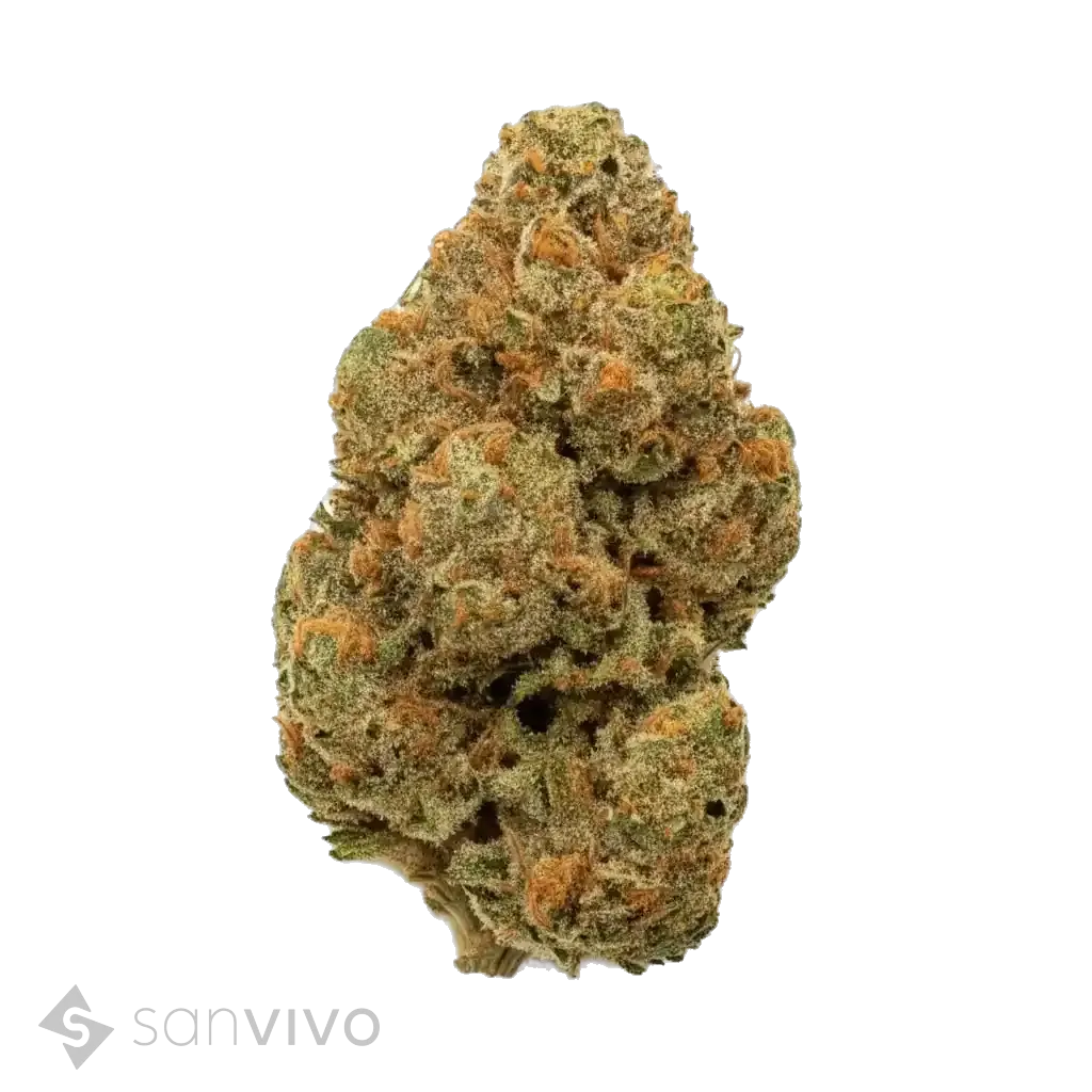 Pineapple Express strain