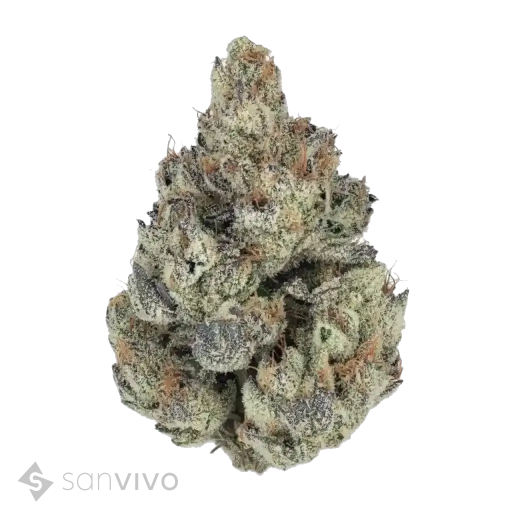 Craft Botanics 30/1